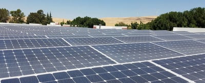The High Cost of Using Renewable Resources to Manufacture Custom Rubber Products